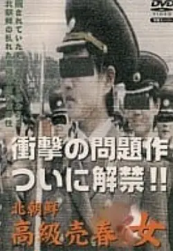 《北朝鮮高級売春女》：揭露朝鲜特殊女性群体命运的禁忌之作，深入探讨社会困境与人性挣扎